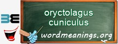 WordMeaning blackboard for oryctolagus cuniculus